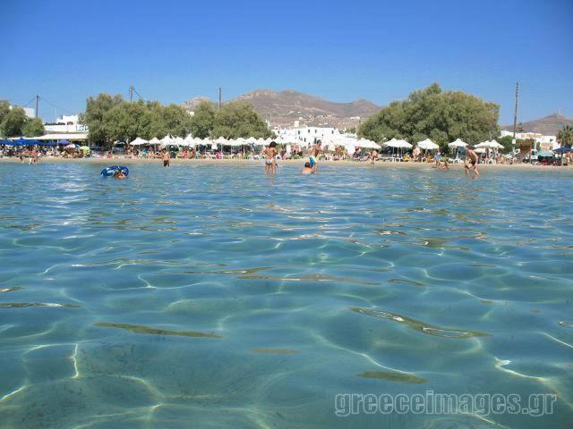 Naxos Edem Studios & Apartments Naxos City Екстериор снимка